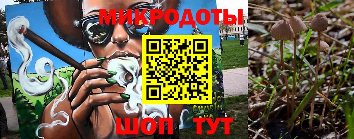 Кизляр  Псилоцибиновые грибы Psilocybe  купить   Вход с VPN 